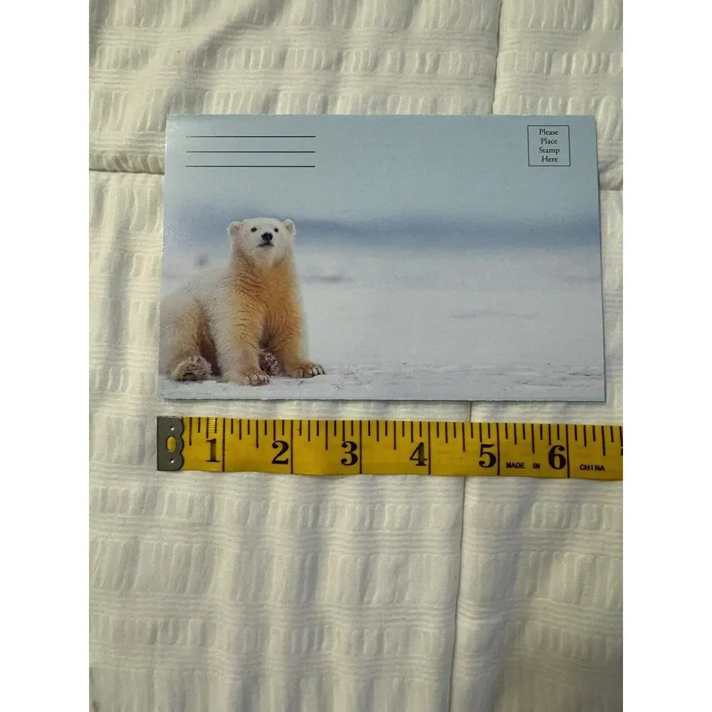Lot of 5 Seasons Greetings Holiday Cards Polar Bear Winter Wildlife Blank